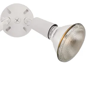 Daley 6'' High 2-Light Outdoor Sconce - White 4
