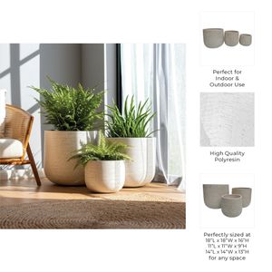TODDCLIFF SET OF 3 IVORY PLANTER 16 (IN) 10