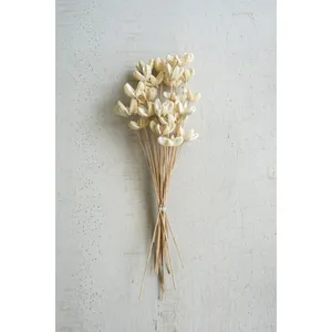 Bundle of 24 Bleached Bullet Flowers on Stems 1