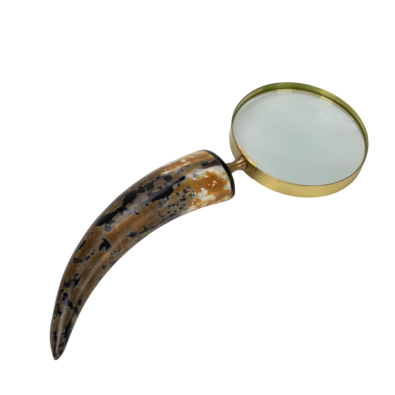 Abbott Magnifying Glass