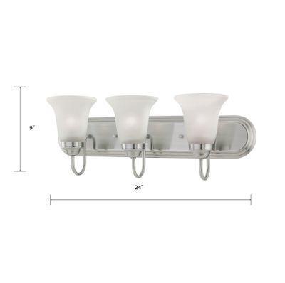 Whitmore 24'' Wide 3-Light Vanity Light - Satin Pewter