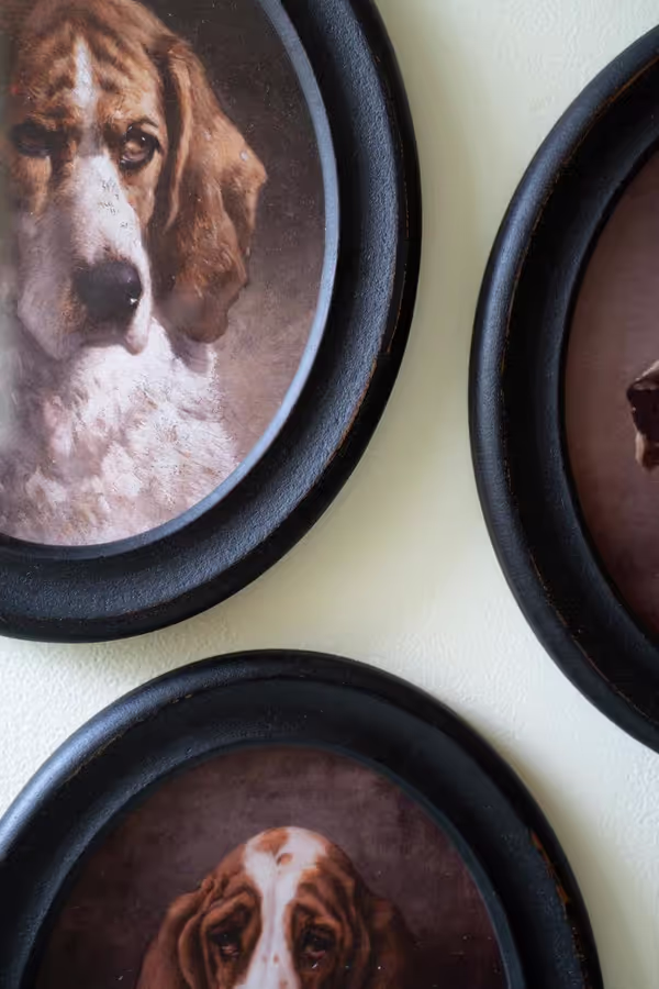 Set of 4 Framed Oval Hound Prints under Glass