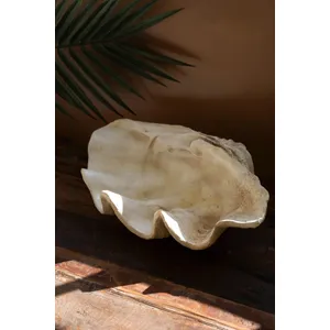 Giant Resin Clam Shell 2