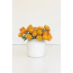 Artificial Orange Pincushion Protea 2