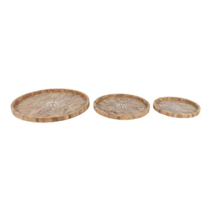 FENTONRUN SET OF 3 BROWN TRAY 2 (IN) 5