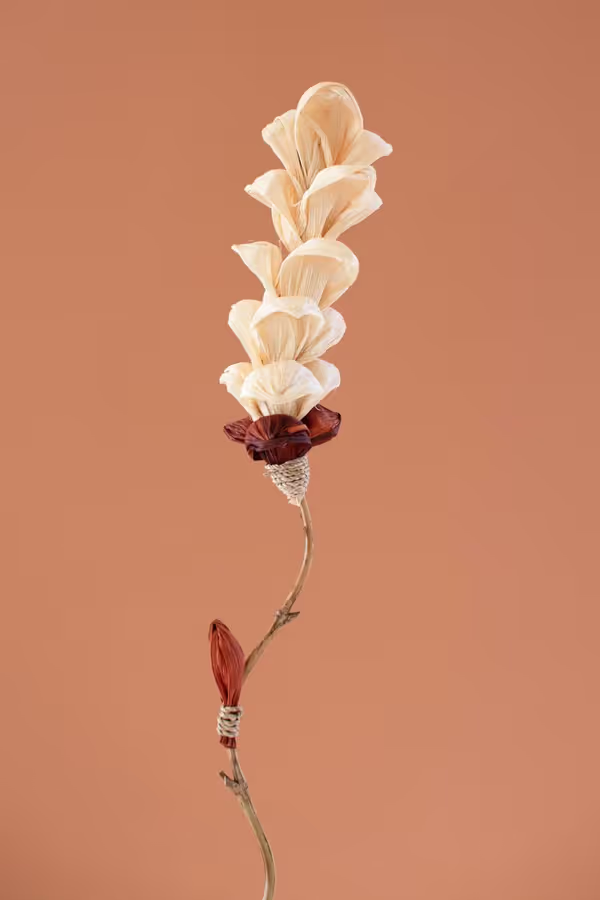 Set of 12 Cornhusk Botanicals on a Bamboo Stem / Snap Dragon