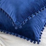 Alaundra Tassels Reversible Throw Pillow 2