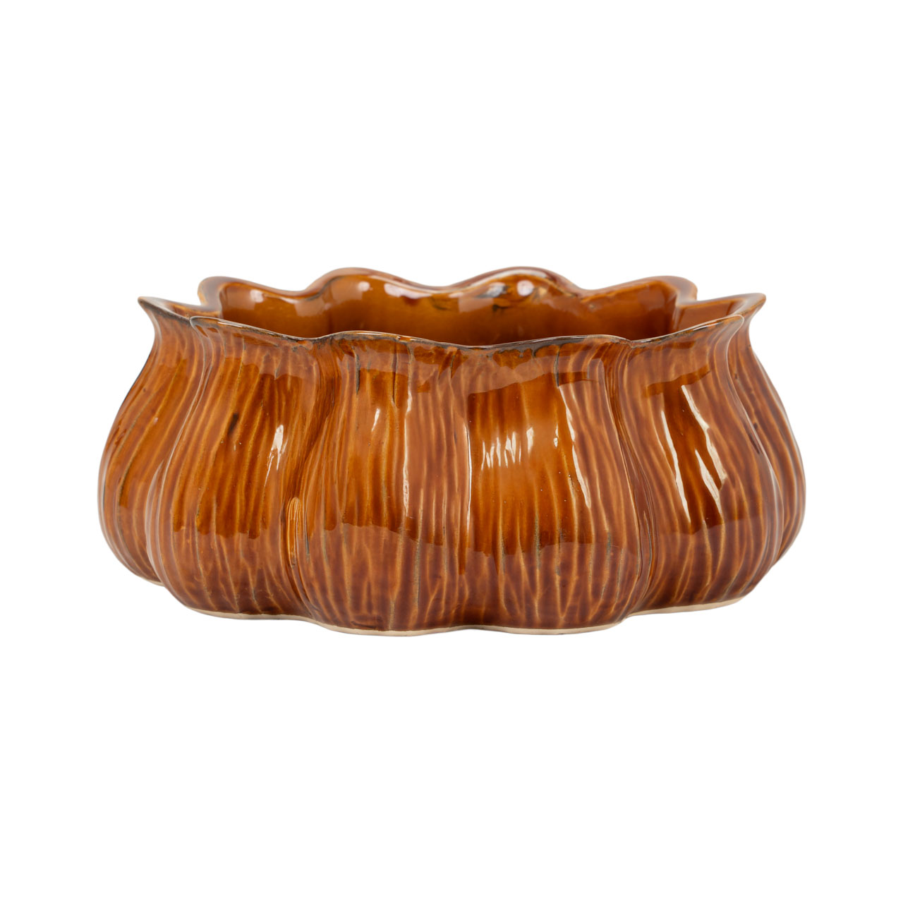 Rodney Planter