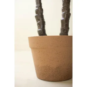 Artificial Heneken Plant with Faux Terracotta Pot 3
