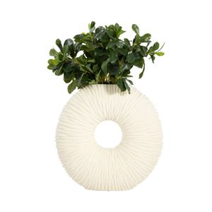 DALEMOOR WHITE VASE 15 (IN) 3