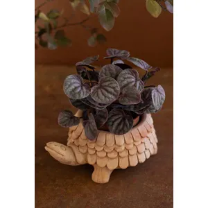 Terracotta Turtle Planter 1