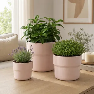 CORWINPORT SET OF 3 PINK PLANTER 9 (IN) 2