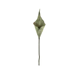 Botanica #2762 2