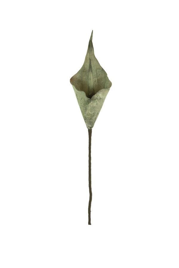 Botanica #2762