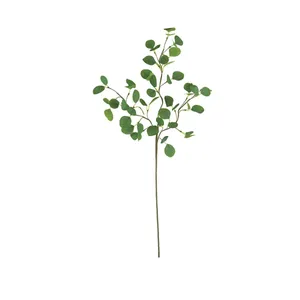 Botanica #3508 4