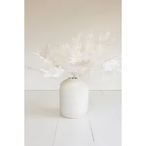 Botanica #2815 1