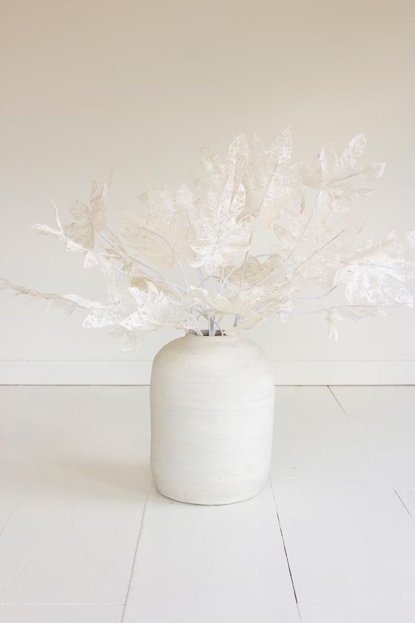 Botanica #2815