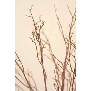 Artificial Birch Branch Stem 3