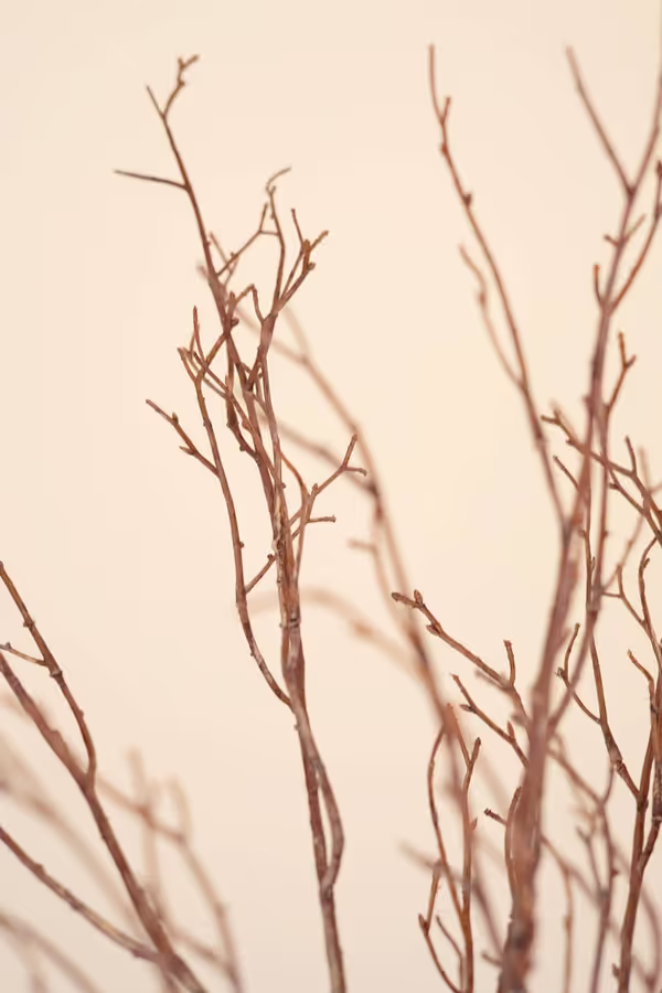 Artificial Birch Branch Stem