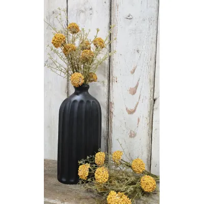 Yellow Yarrow Pick
