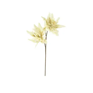 Botanica #2446 1