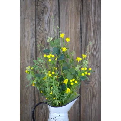 Buttercup Fields 18in Pick