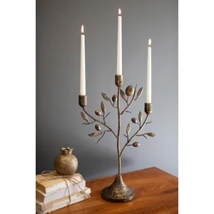 Antique Brass Fruit Tree Taper Candelabra 1