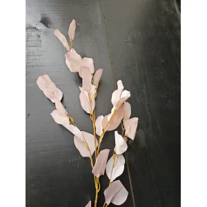 Blush Dollar Stem 33in 3