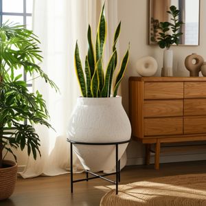 RUTHRUN IVORY PLANTER 29 (IN) 2