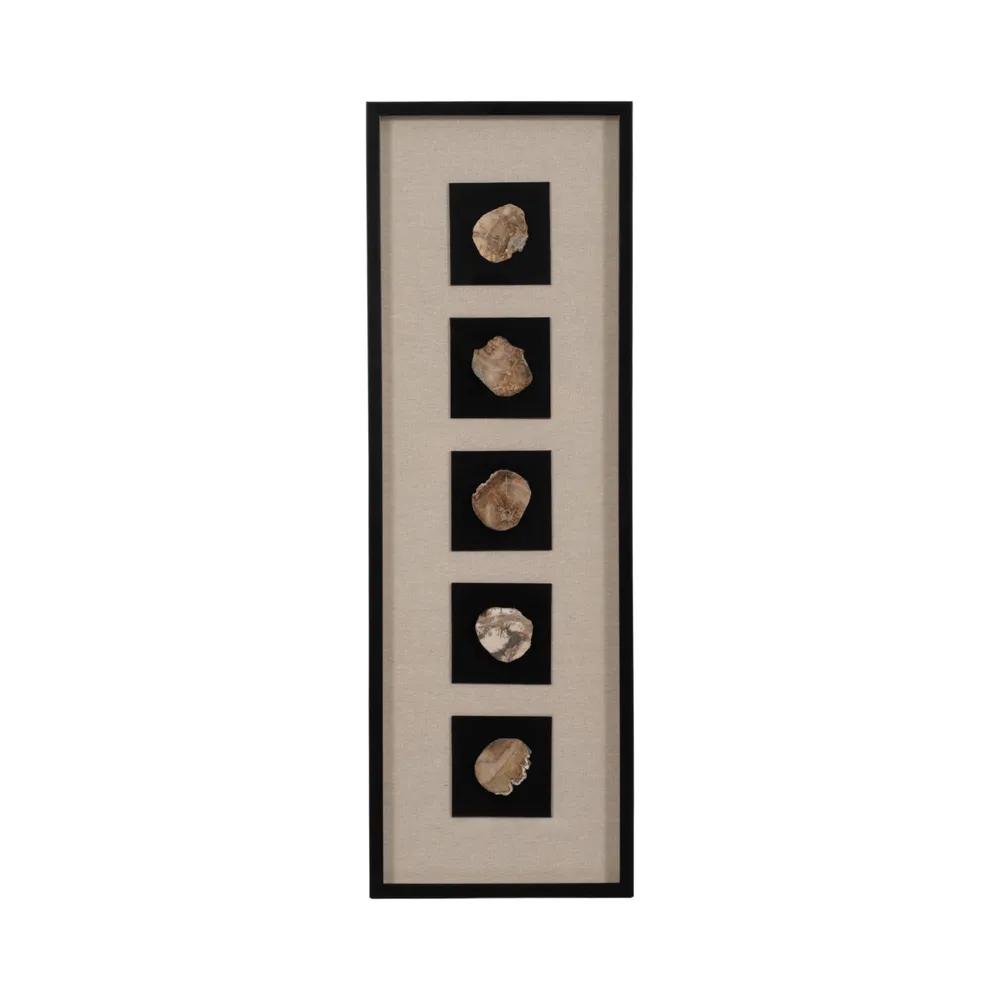 CALLAND BROWN ART 47 (IN)