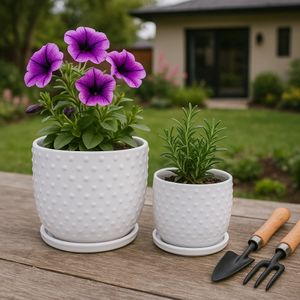 FIONAOAK SET OF 2 PLANTER 7 (IN) 11