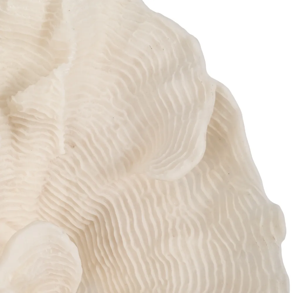 BRENDANSHAW IVORY DECOR 12 (IN)