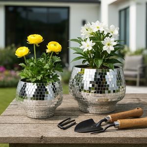 ANTONSHAW SET OF 2 SILVER PLANTER 8 (IN) 10