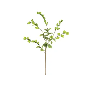 Botanica #3187 1