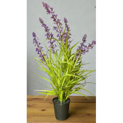 Lavender Breeze 33in