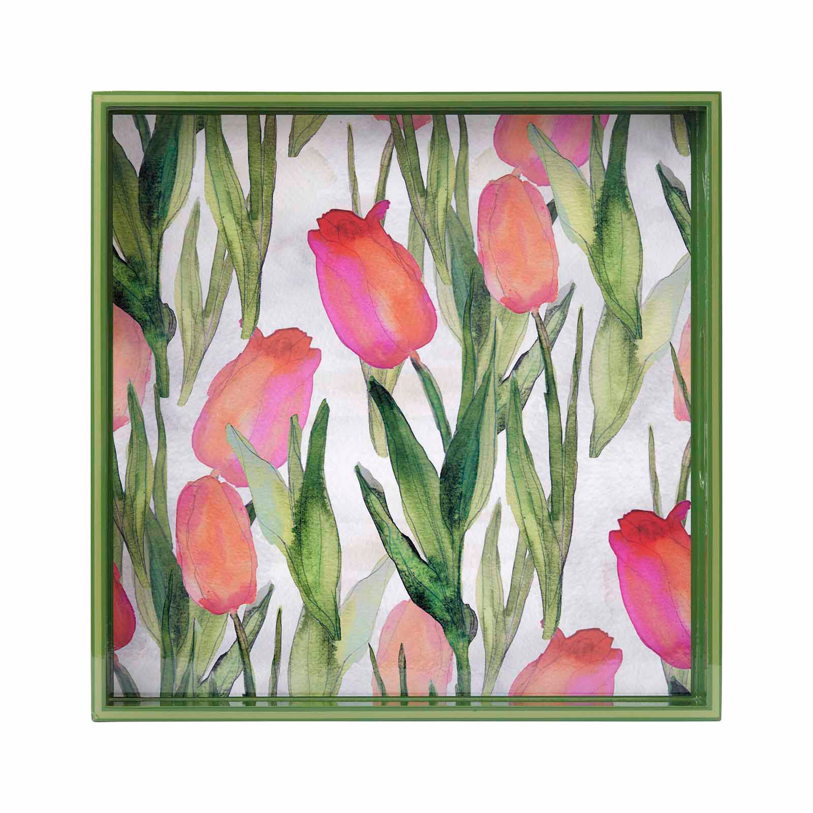 Pink Tulips