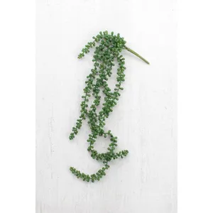 Artificial Necklace Fern Succulent 2