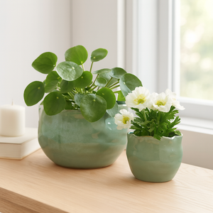 DRAPERSTONE SET OF 2 GREEN PLANTER 9 (IN) 11