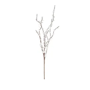 Botanica #914 1