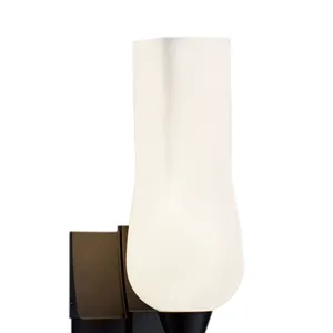 Fleur 14'' High 1-Light Sconce - Matte Black 4