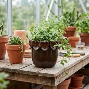 SLATERCLIFF BROWN PLANTER 5 (IN) 2