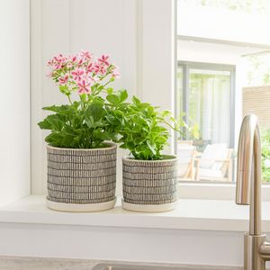 HOUSTONLAKE SET OF 2 IVORY PLANTER 7 (IN) 11