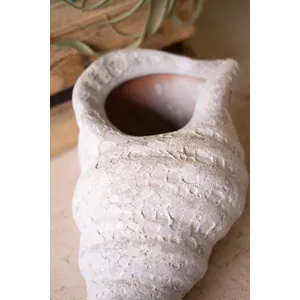 Clay Conch Shell Planter with White Glaze 3