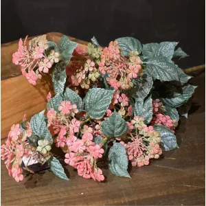 Roseberry Blush Stem 13in 1
