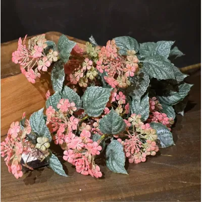 Roseberry Blush Stem 13in