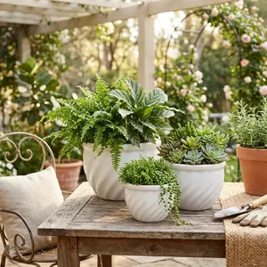 RAYMONDHAVEN SET OF 3 WHITE PLANTER 9 (IN) 12