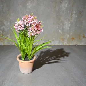 Violet Haze Pot 18in 2