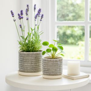 HOUSTONLAKE SET OF 2 IVORY PLANTER 7 (IN) 10