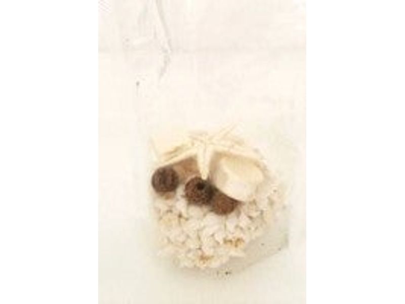 Assorted Beach Themed Filler, White with Brown 1