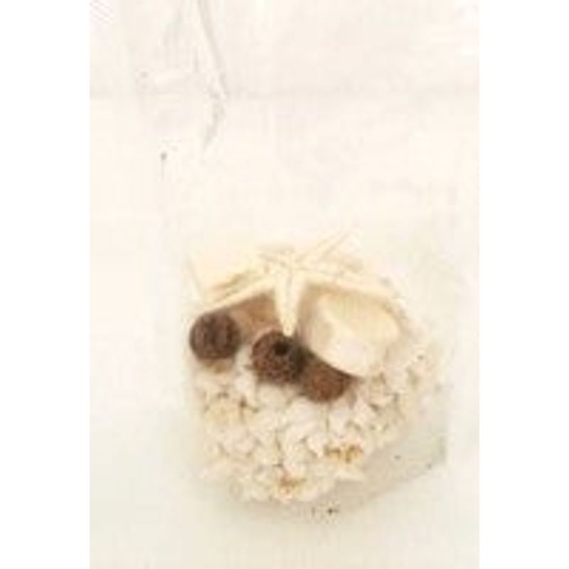 Assorted Beach Themed Filler, White with Brown